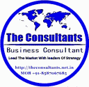 business consultant,india market entry,investment in india,fdi in india,political consultant